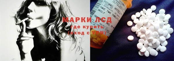 альфа пвп Гусев