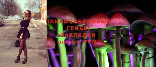 крисы Алексин