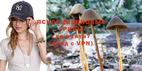 крисы Алексин