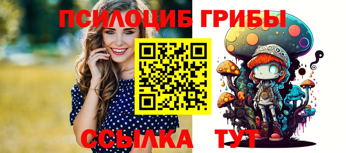 Псилоцибиновые грибы GOLDEN TEACHER  Вход с VPN  Галлюциногенные грибы Psilocybine cubensis  Батайск 