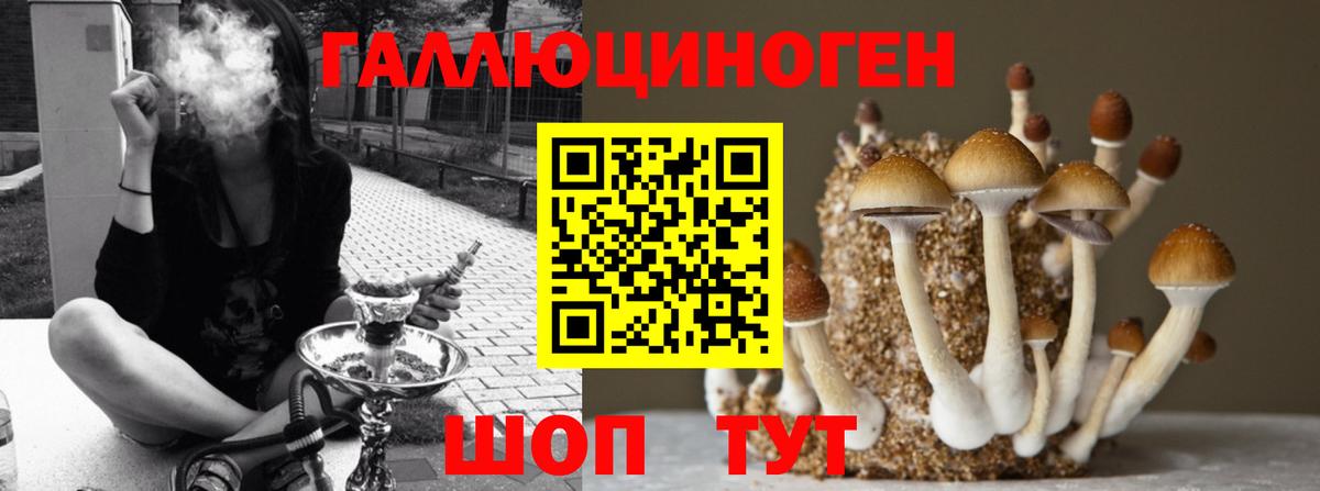Псилоцибиновые грибы мицелий Батайск